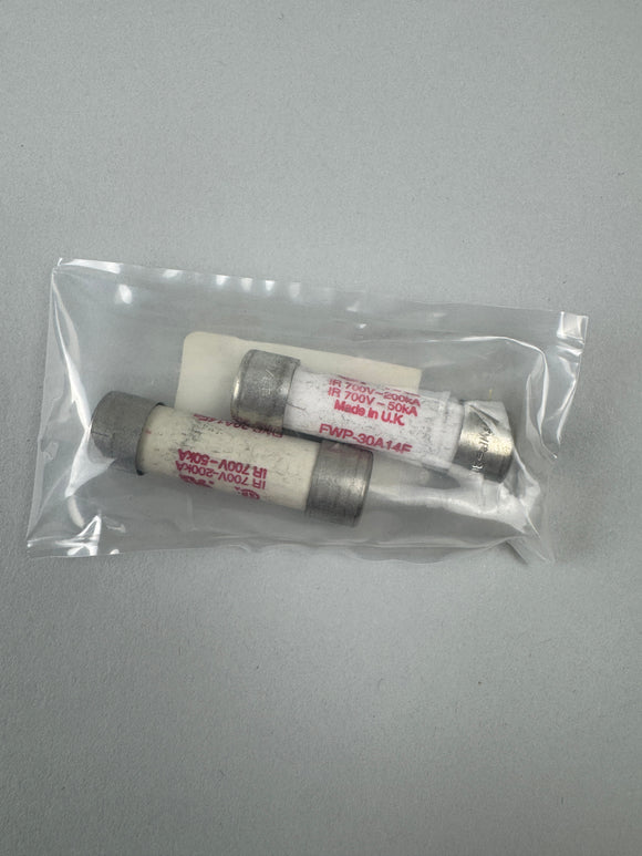 46-170021P79 30 AMP/700V FUSE by GE Healthcare set of 2