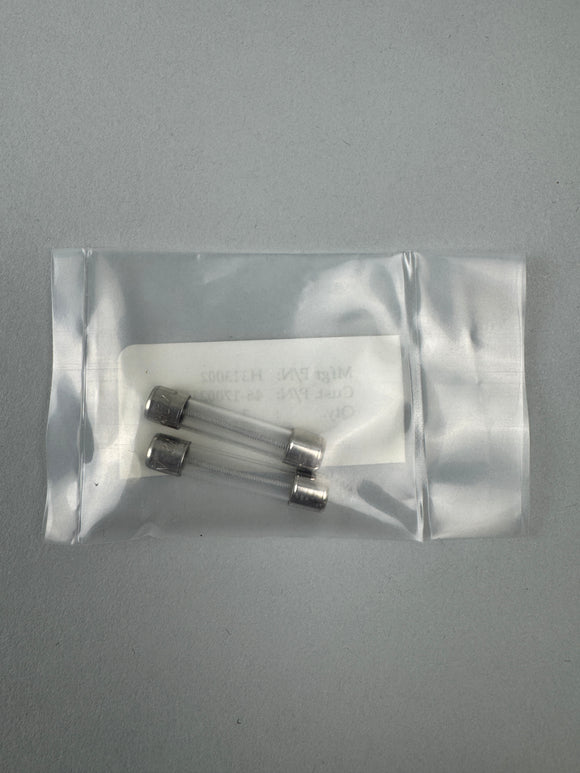 46-170021P30 - GE - CT - 2.0A, 250V SLO-BLO Fuse