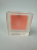 NUCLEAR ASSOCIATES MAMMOGRAPHY PHANTOM MODEL 18-220