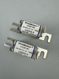 SET OF TWO PROTISTOR FUSES FOR GE CT P/N 2351493