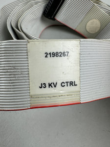 GE Healthcare P/N 2198267, CAN CABLE