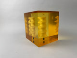 Hologic DPA/QDR-1 Anthropomorphic Spine Phantom PN 030-1967