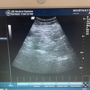 GE 3.8 MHz 3C-RS Ultrasound Transducer Probe