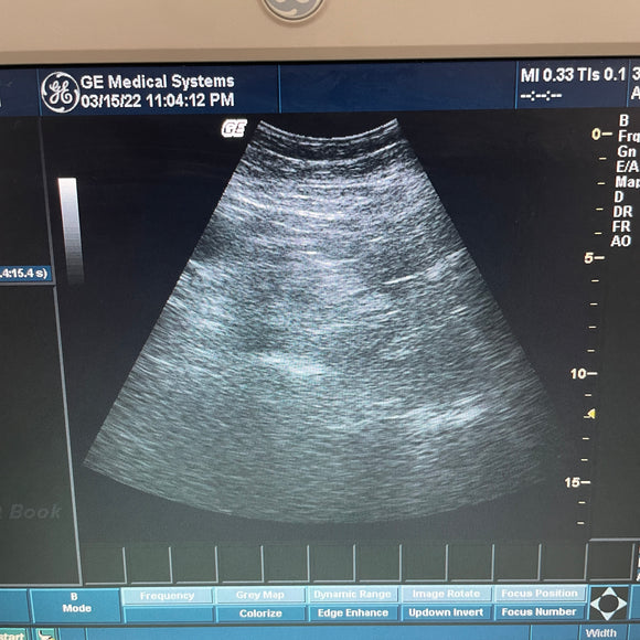 GE 3.8 MHz 3C-RS Ultrasound Transducer Probe